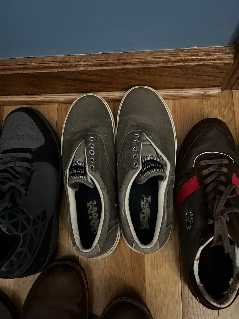 Sperry Olive Canvas Slip-On Sneakers with White Trim